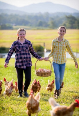 Photography - Lindsay Moller Productions