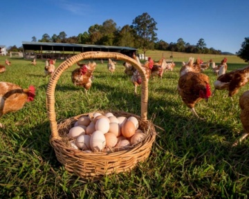 Photography - Lindsay Moller Productions