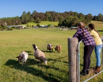 Photography - Lindsay Moller Productions