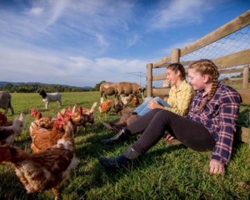 Photography - Lindsay Moller Productions