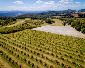 Photography - Lindsay Moller Productions