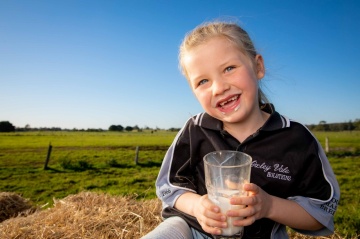 Photography - Lindsay Moller Productions