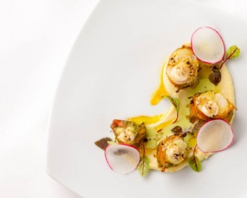 Photography - Lindsay Moller Productions