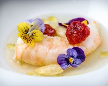 Photography - Lindsay Moller Productions