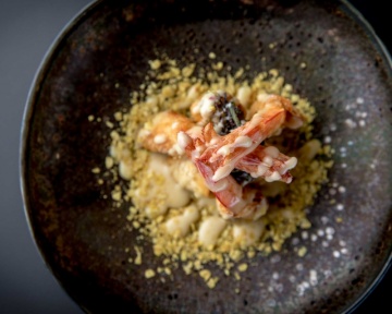 Photography - Lindsay Moller Productions