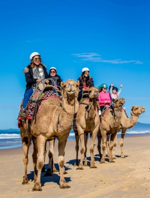 Photography - Lindsay Moller Productions