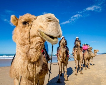 Photography - Lindsay Moller Productions