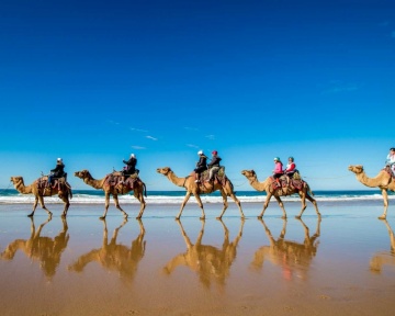 Photography - Lindsay Moller Productions