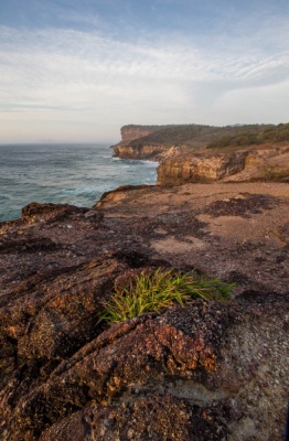 Photography - Lindsay Moller Productions